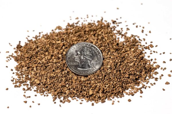 A quarter on top of a pile of coarse ground silvervine 