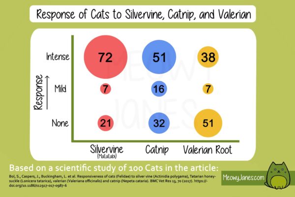 Infographic showing what scents cat respond to