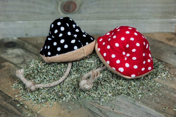 A black spotted mushroom toy and red spotted mushroom toy
