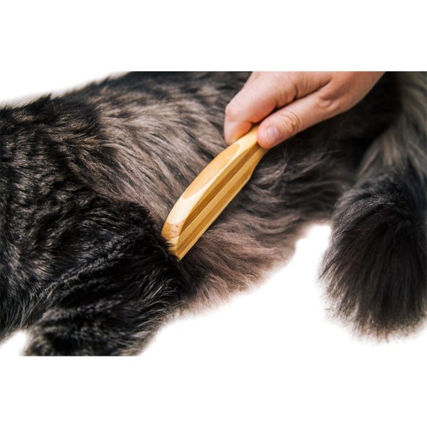 A cat being brushed with a flea comb