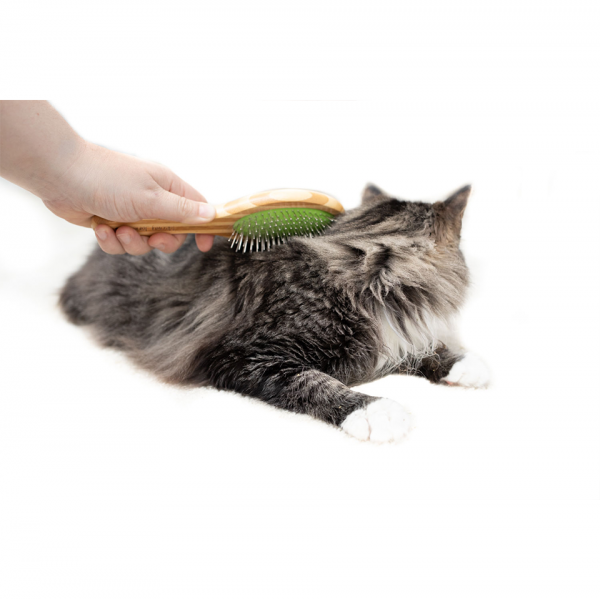 A cat being brushed with a pin brush