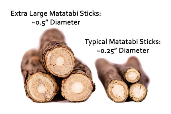 matatabi chew stickers in a larger diameter