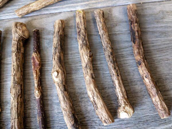 Matatabi sticks with various imperfections