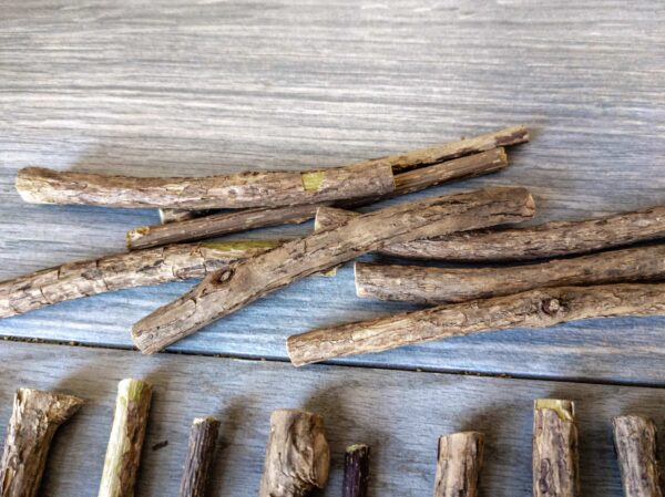 Matatabi sticks with various imperfections