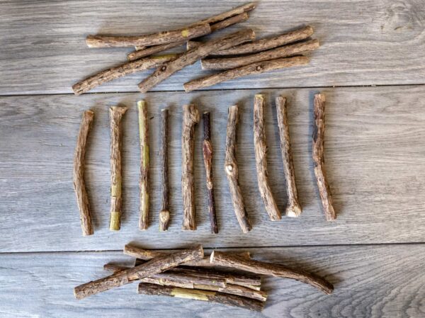 Matatabi sticks with various imperfections