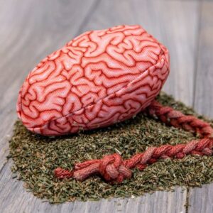 Catnip Stuffed Brain