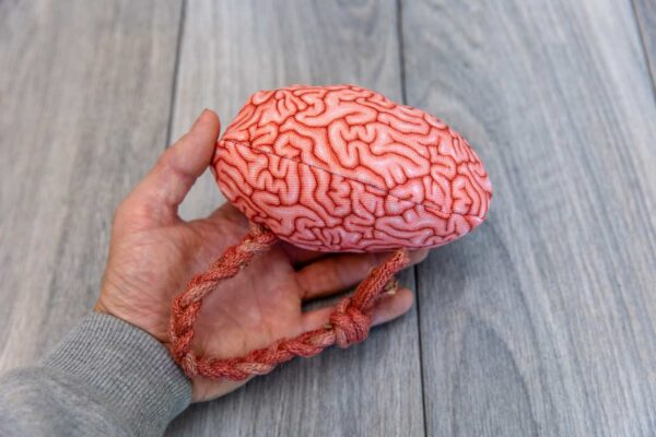 A fabric brain made of a realistic green fabric stuffed with catnip