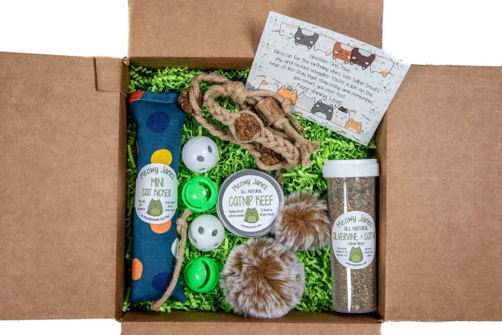 A gift box with a card and various cat toys and crinkle paper
