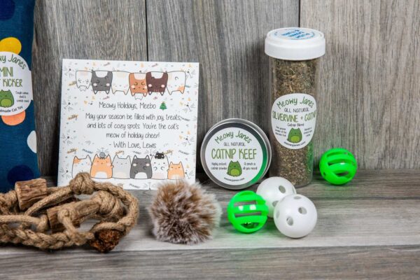 Various cat toys