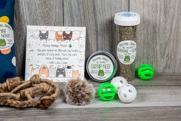 Various cat toys