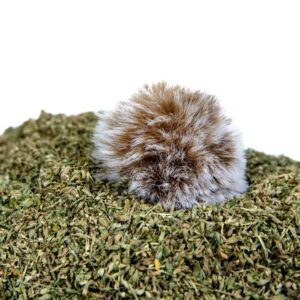 Ultra Blend & Fuzzy Ball Toy (1.5 & 2.5 Cup Bag)