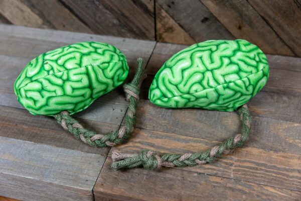 A fabric brain made of a realistic green fabric stuffed with catnip