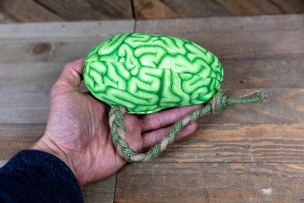 A fabric brain made of a realistic green fabric stuffed with catnip