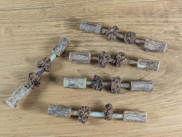 Matatabi sticks with silvervine fruits and matatabi stick end caps attached