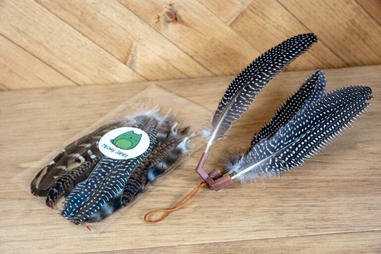A bag of bird feathers and a small plastic cat toy with feathers stuck into it