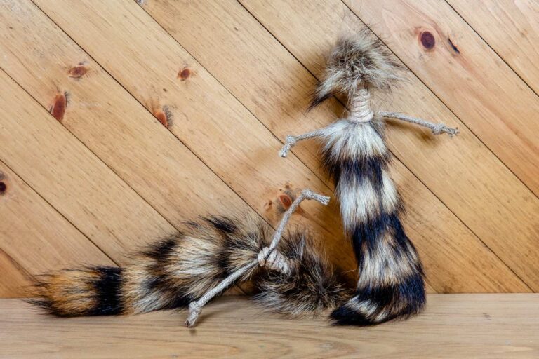 Two raccoon tails with jute rope tied around them.