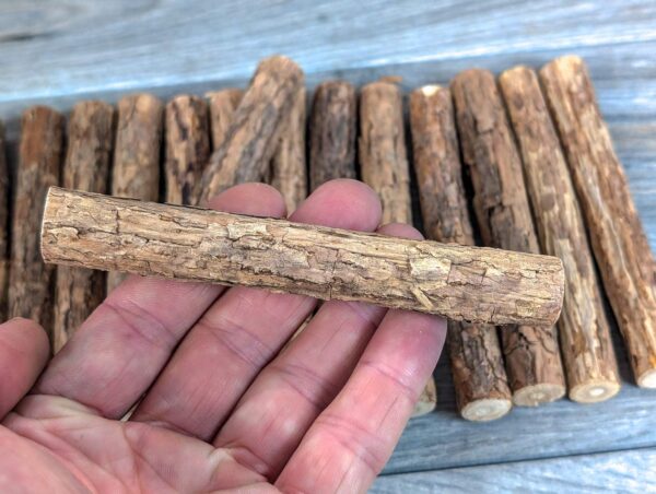 Large Matatabi Chew Sticks | 15 Ct - Image 13