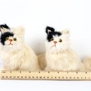 Patch & Pearl the Fluffy Fur Kittens