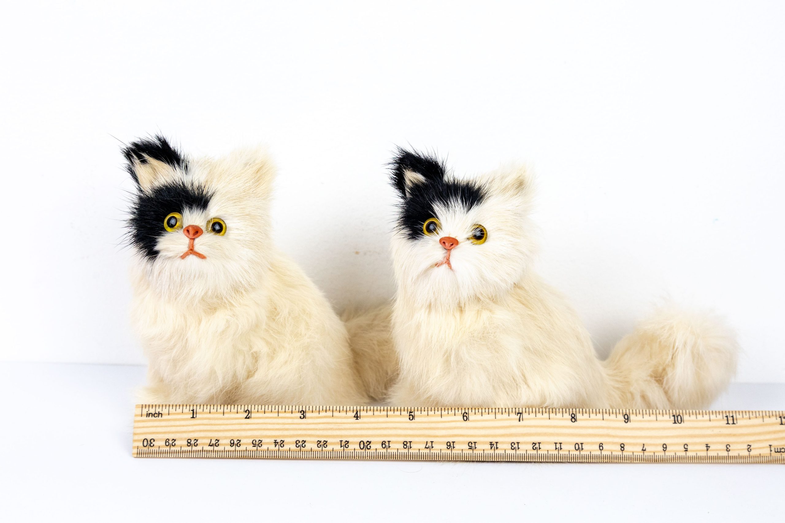 Patch & Pearl the Fluffy Fur Kittens